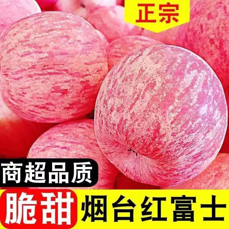 山东烟台红富士苹果水果新鲜应当季栖霞整箱新鲜水果 75mm-80mm 【中大果】 9斤（净重8.5）
