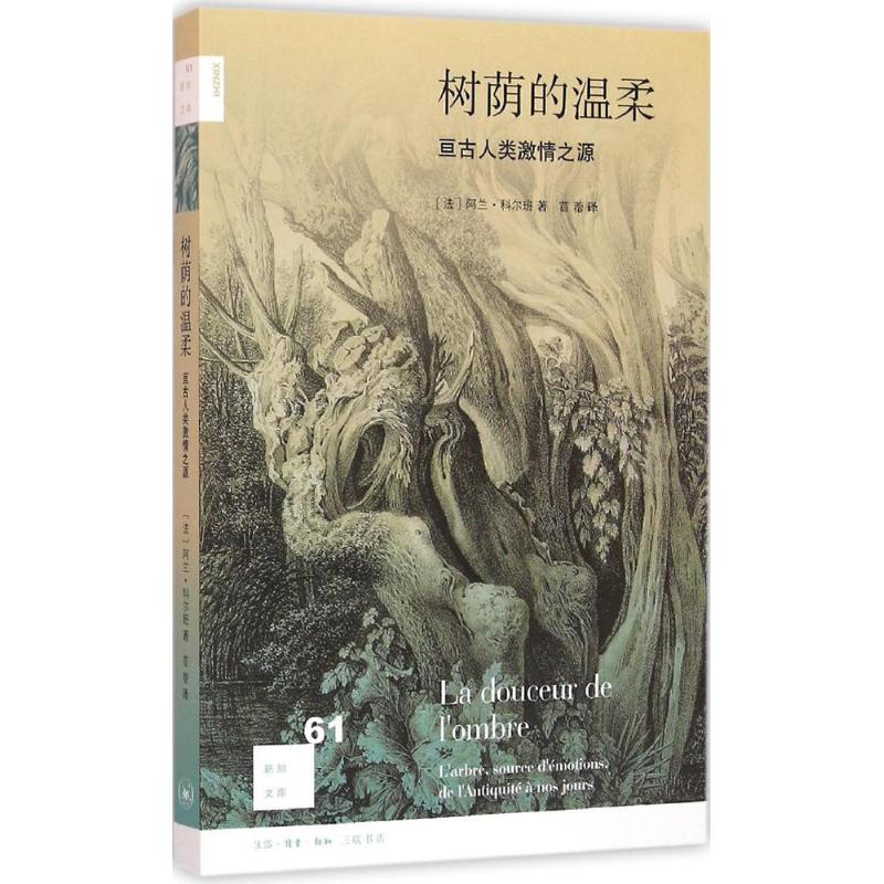 树荫的温柔