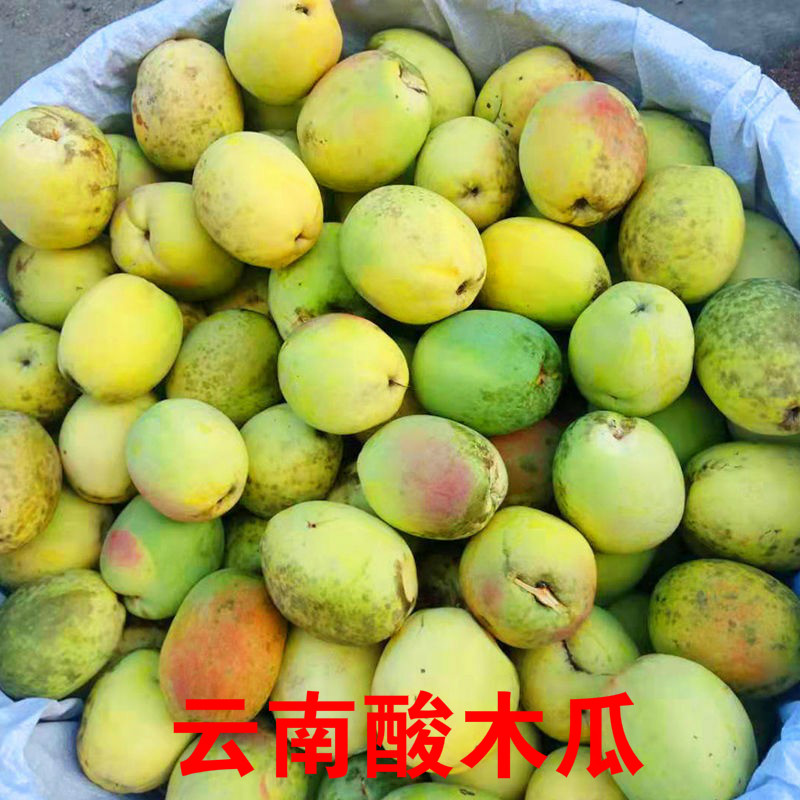 囧仙子云南大理新鮮酸木瓜1-5斤腌酸木瓜干片泡酒酸水果批發(fā)特產(chǎn)臨滄 5斤+辣椒面