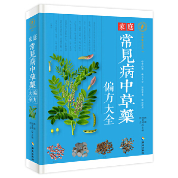 家庭常见病中药偏方大全 路臻 周重建 周芳【放心选购】