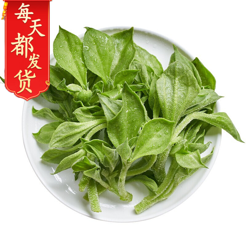 【多仓发货】新鲜冰草1500g 即食冰菜生吃沙拉蔬菜 晶菜火锅西餐蔬菜