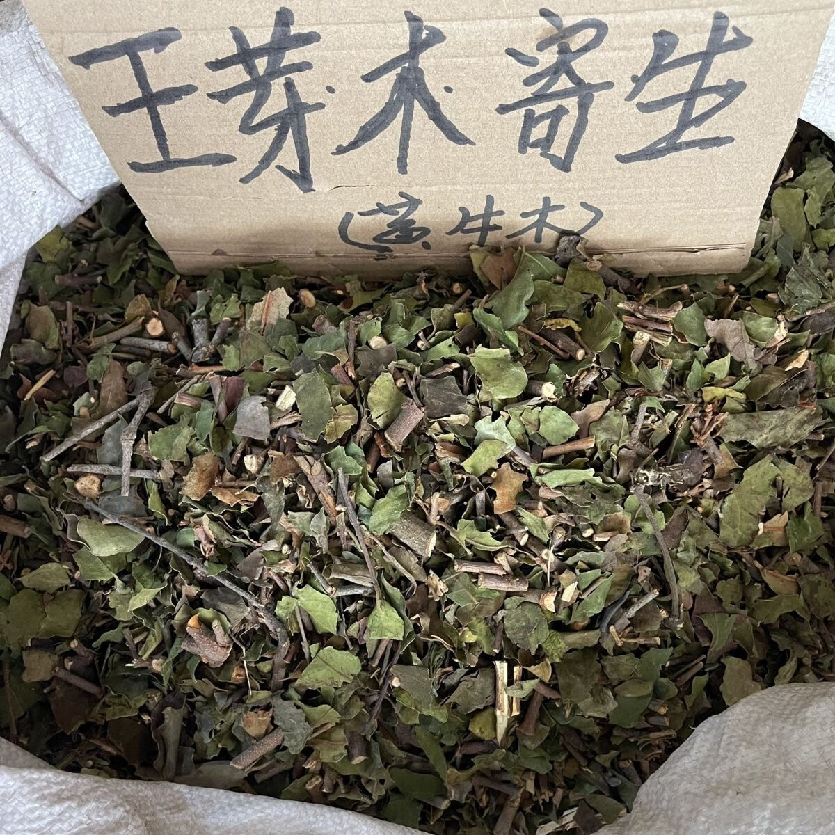 广西 深山 非野生黄牛树寄生 黄牛茶寄生 黄芽木寄生  九芽木寄生