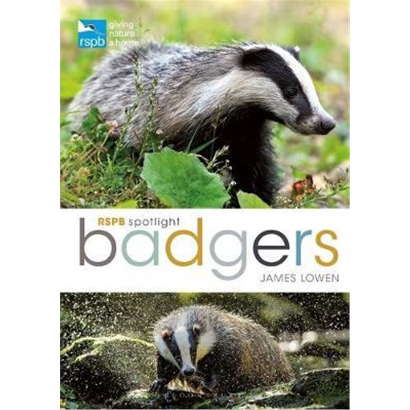 预订rspb spotlight: badgers
