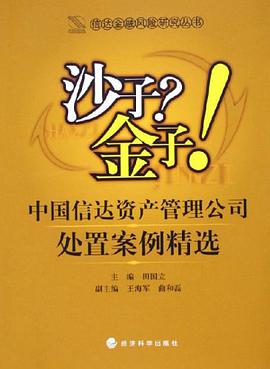 正版现货沙子 金子 中国信达资产管理公司处置案例精选 田国立 经济科学 9787505854062