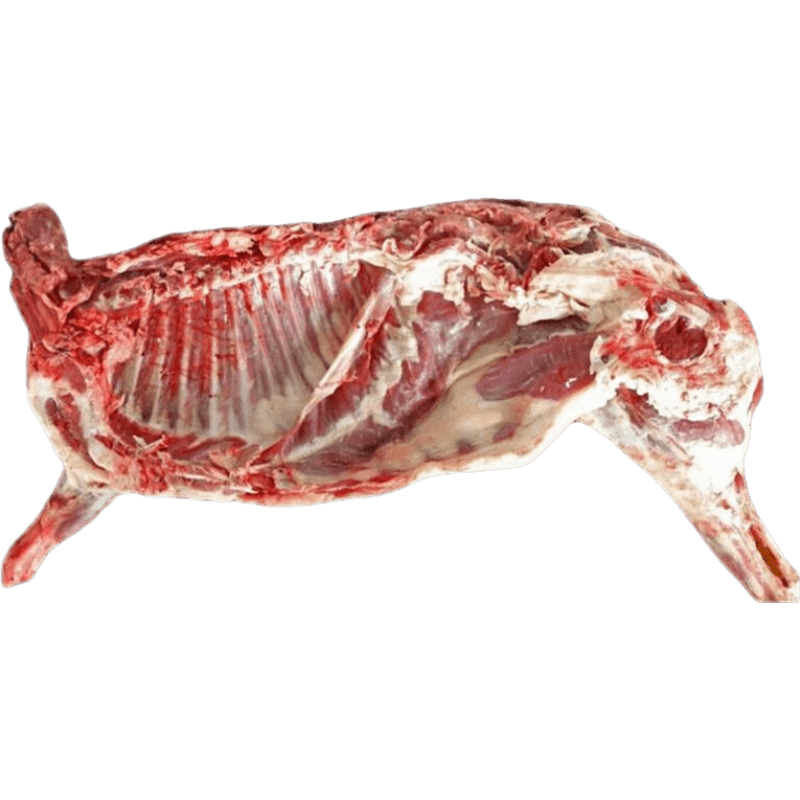 安峰山新疆羊肉 新鲜现杀阿勒泰整只全羊大尾羊羔羊肉礼盒送礼团购 全