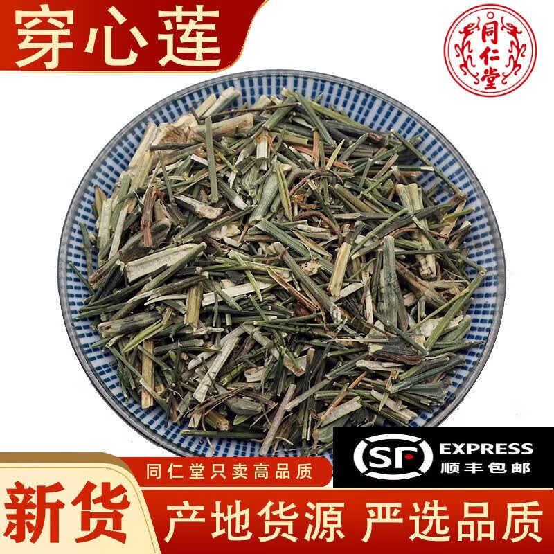 北京同仁堂穿心莲500克g新货晒干穿心连茶别名苦胆草金香草