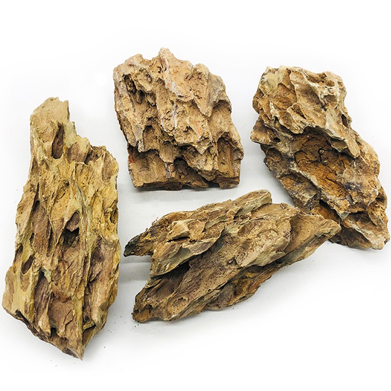 过来人分析共度（Gong Du）鱼缸装饰假山真实的经验分享，了解一个月感受分享