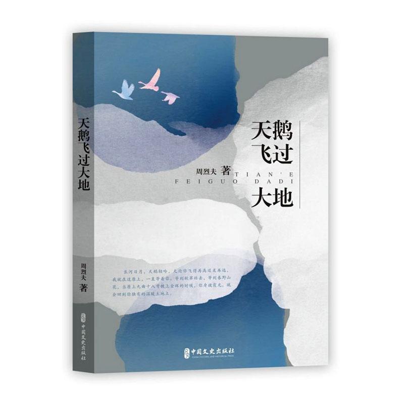 包邮：天鹅飞过大地 小说  图书