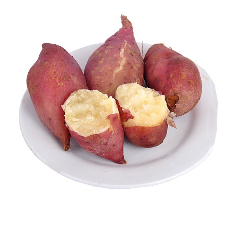 白心板栗红薯 农家白心板栗红薯 现摘现发 新鲜地瓜 5斤 5斤装