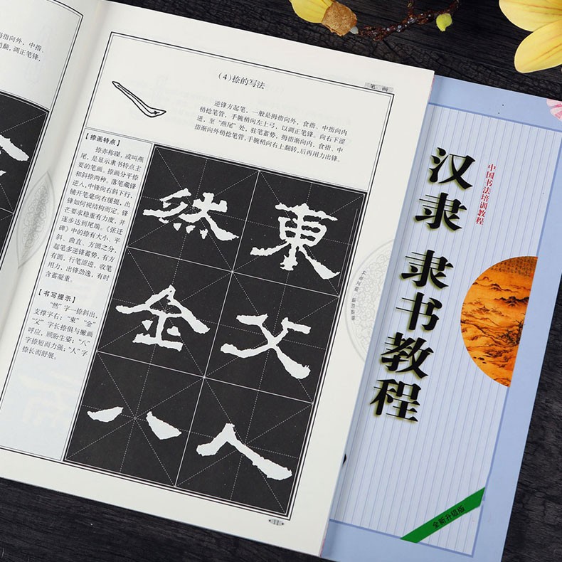 汉隶隶书教程《张迁碑》中国书法培训教程 初学隶书书法毛笔练字帖米