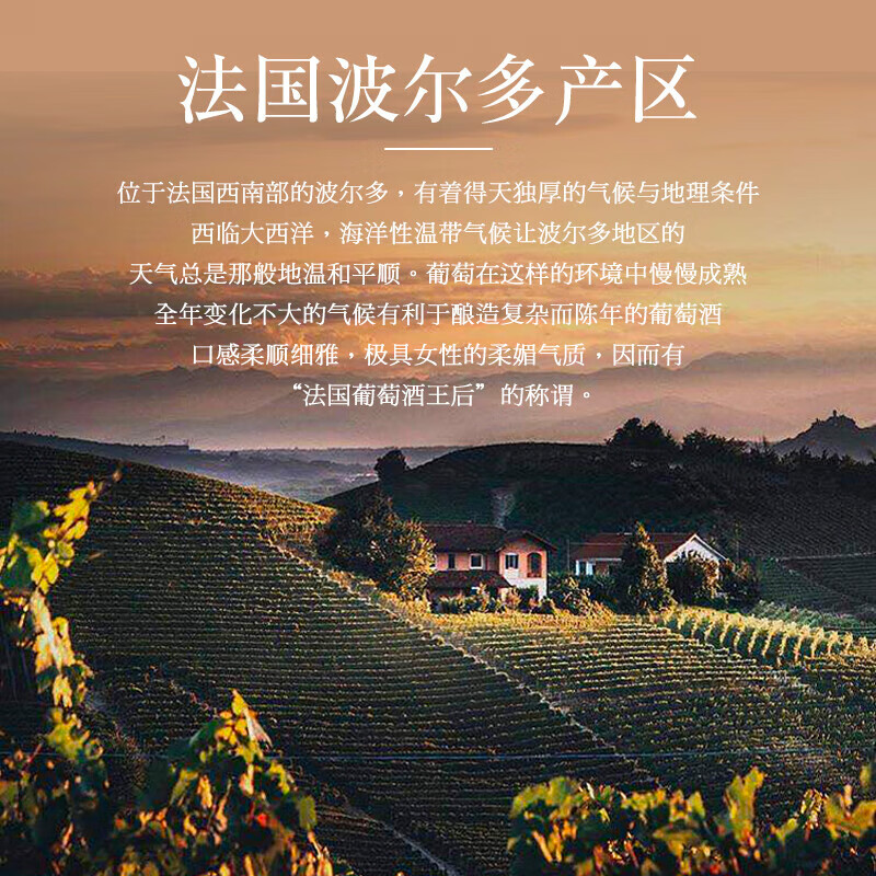赫图令【国际金奖/2箱】法国原瓶进口红酒整箱波尔多干红葡萄酒送礼盒装 【老藤14度】2箱共12瓶