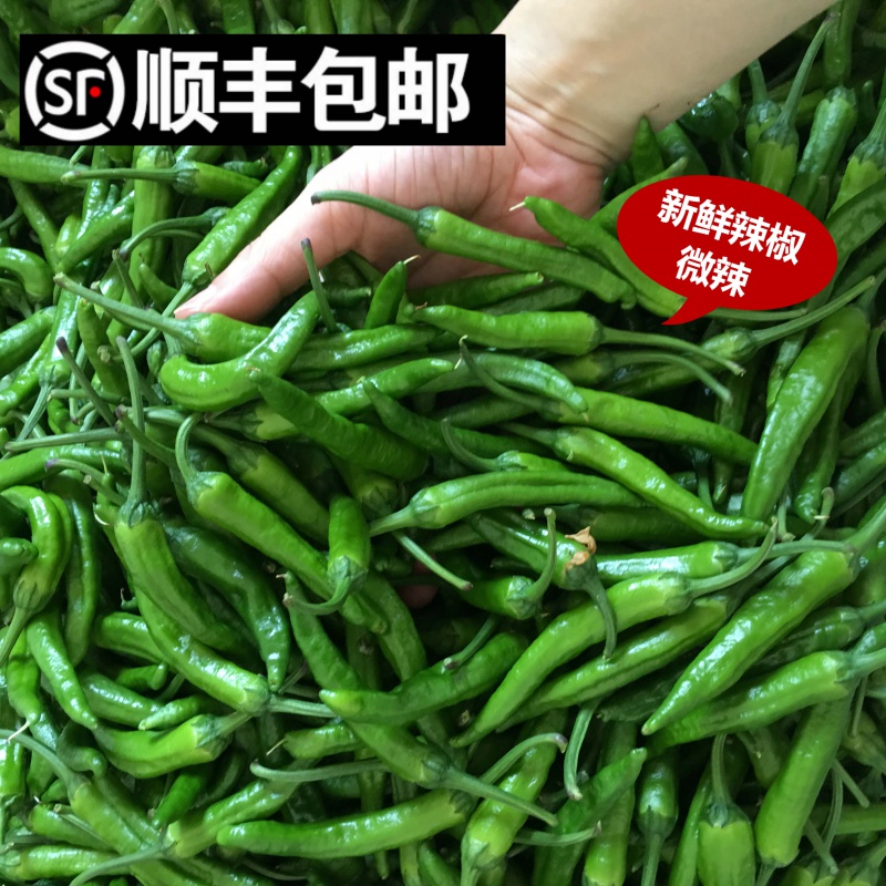 (顺丰/微辣鲜嫩)湖南本地特产土辣椒   新鲜现摘正宗薄皮辣椒农家自种