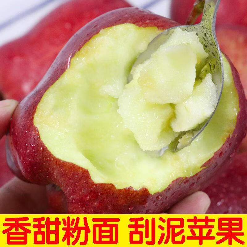 京蚨鲜甘肃天水花牛苹果粉面苹果新鲜水果礼盒 9斤精选中果【70-75mm】净重8.5