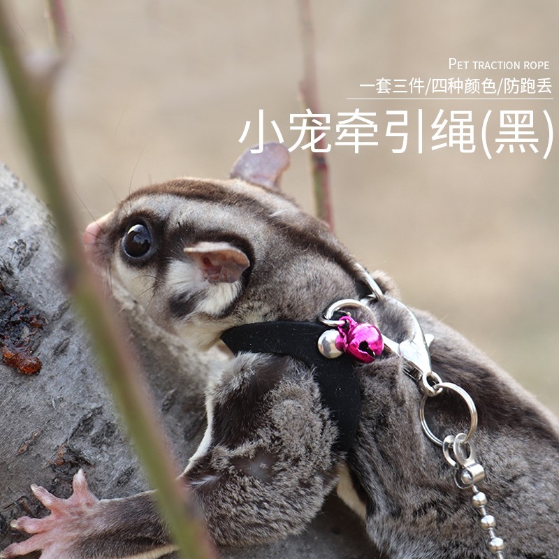 小囧家 蜜袋鼯牵引绳背带小蜜蜜袋鼬衣服小宠外带外出项圈用品外带防
