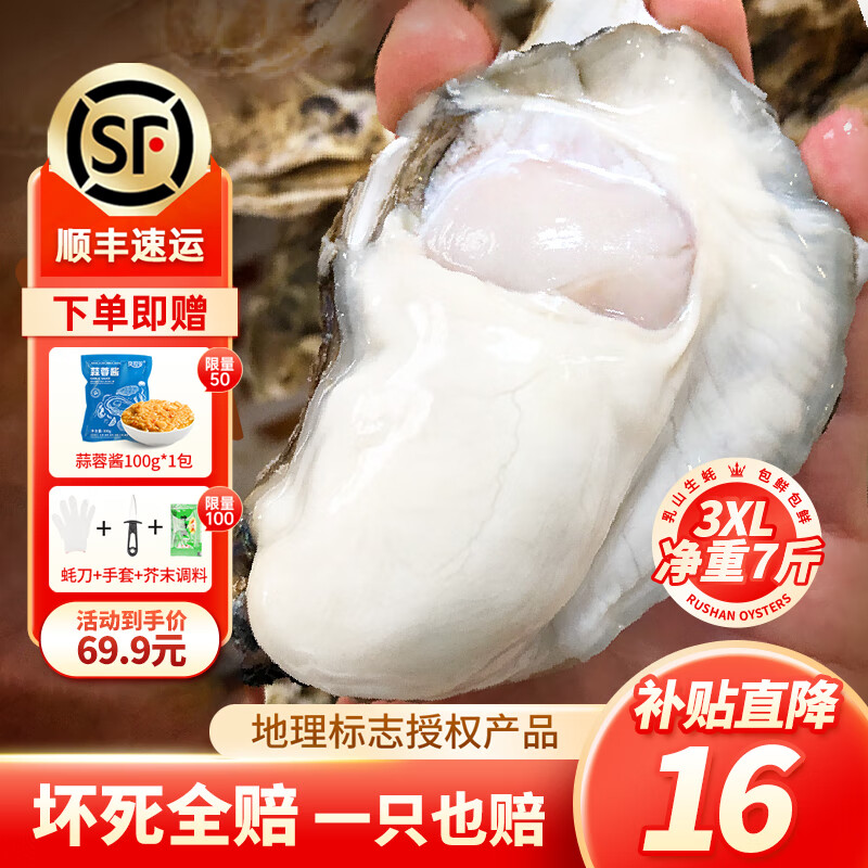 鲜海道【源头直发】鲜活乳山生蚝 海鲜烧烤 整箱7斤送酱 3XL号 16-24只