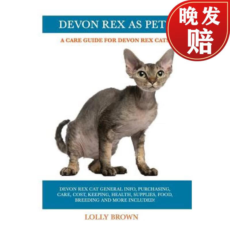 【4周达】devon rex as pets: devon rex cat general info