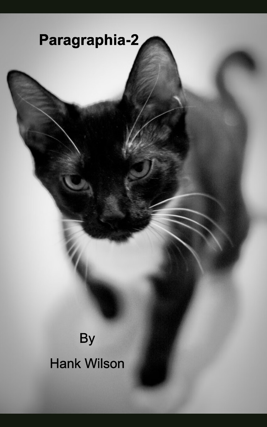 【预售按需印刷】paragraphia-2