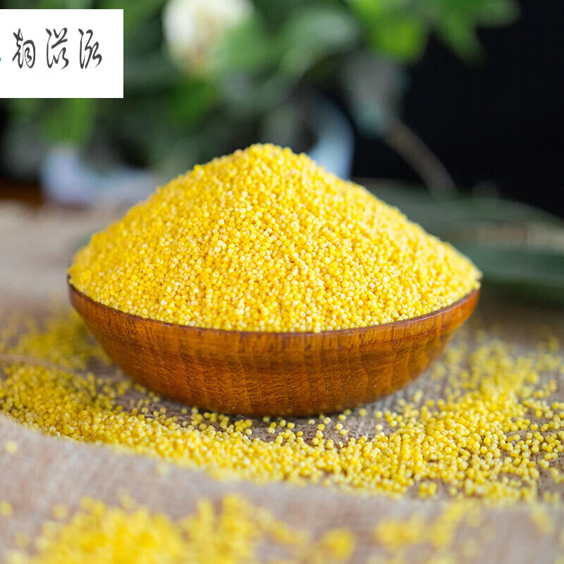 虎钢馋新东北黄小米五谷杂粮吃的小黄米黑龙江粮食糯小米特产