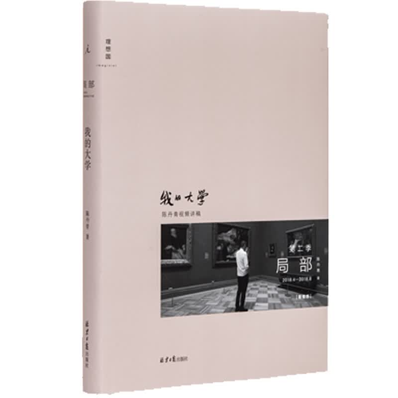 陈丹青 局部系列3册 陌生的经验+我的大学+伟大的工匠 艺术展览纪录片视频讲稿 美学艺术书籍 002局部：我的大学