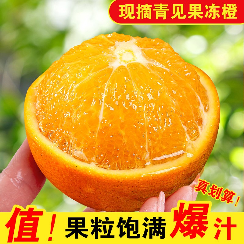 康乐欣 四川青见柑橘橙大果 青见果冻橙桔子 新鲜水果橘子 2.5kg装 钻石果 新鲜水果