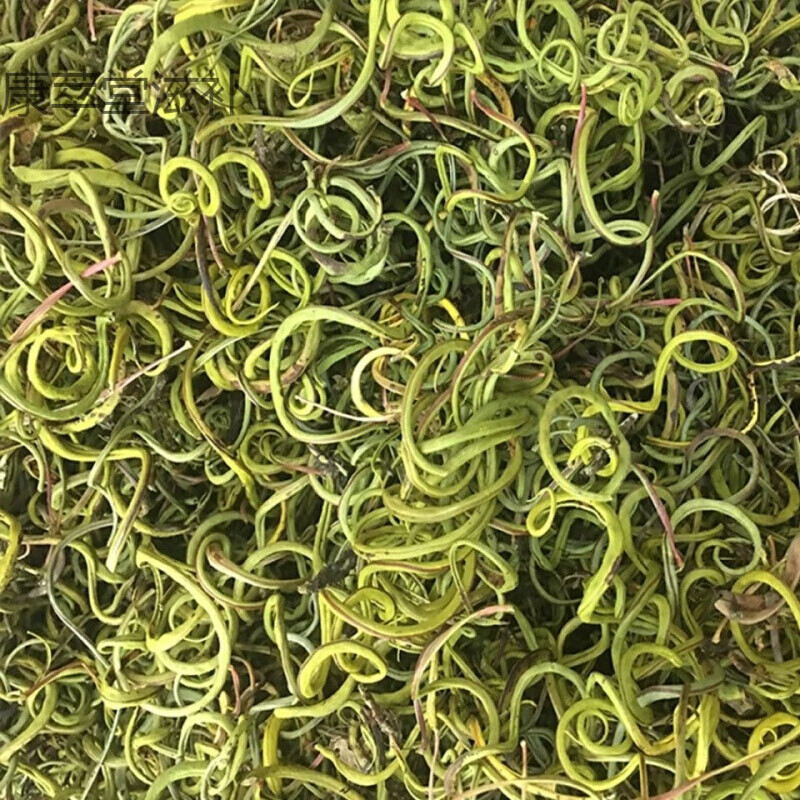 云南肾精茶化石草肾精草黄金草嗷嗷叫男士滋肾石草泡水 化石草100克