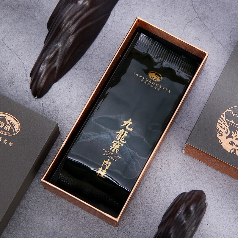 鉴山岩语九龙窠肉桂试泡茶叶武夷山岩茶中火乌龙茶试饮正岩8.5g