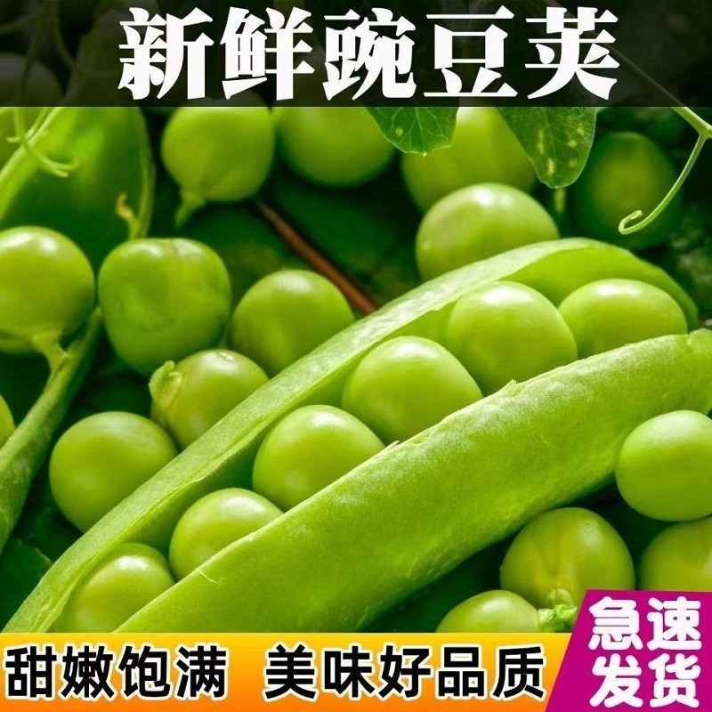 淇乐融融好客东方 商品详情 淇乐融融好客东方 商品详情