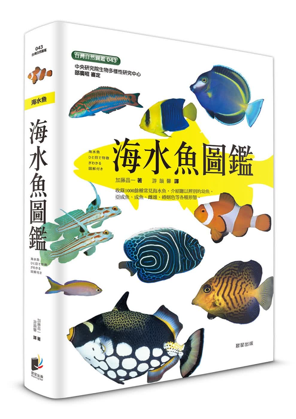 预售 加藤昌一海水鱼图鉴晨星