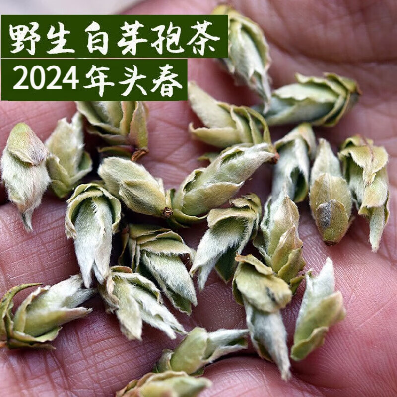 茗老汉 2024春茶云南野生芽孢茶白芽苞千年老妖古树芽孢普洱500g 500g