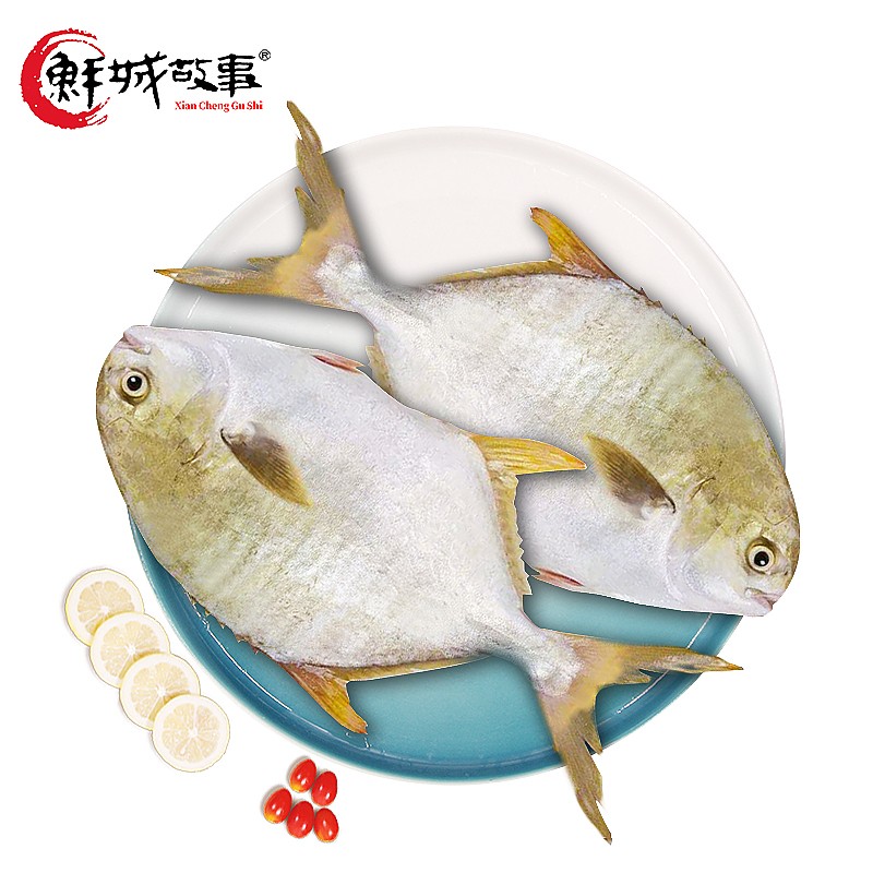 鲜城故事 速冻珠海万山金鲳鱼700克(2条装) 有机无公害认证食品轻食海鲜水产