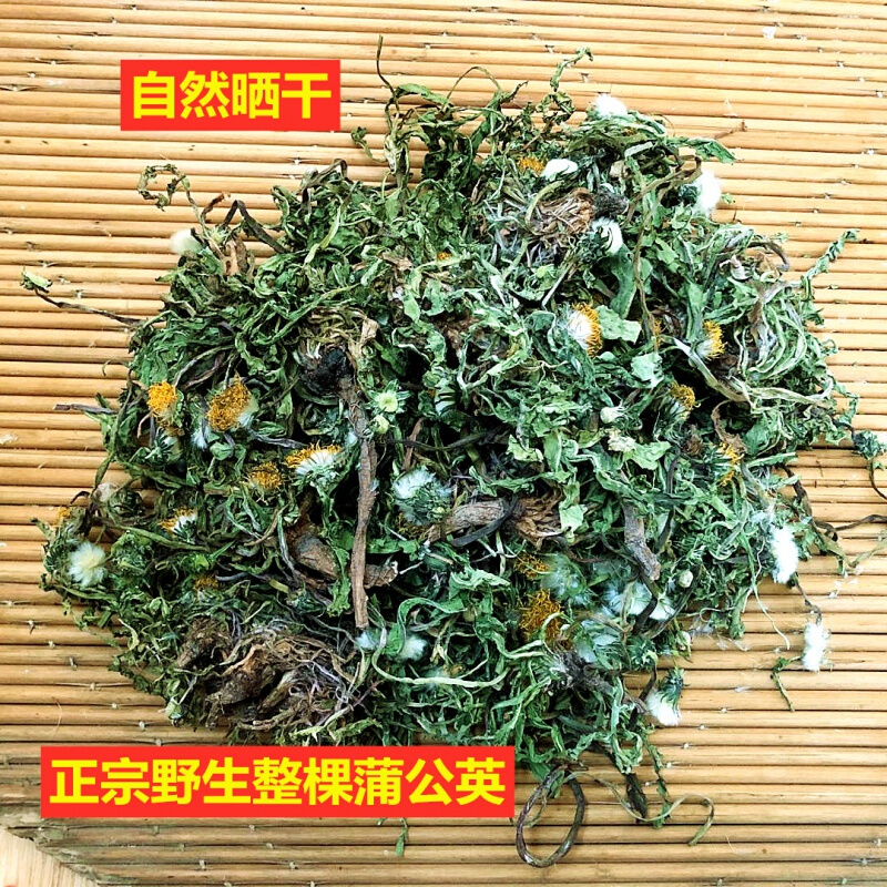 蒲公英野生新货蒲公英晒干整棵带根带花全颗婆婆丁茶涵鹭花茶养生茶