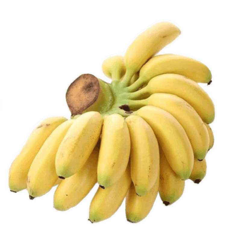 ʹ㽶С׽ַʲժȴˮСŽŴĴָ㽶  4.5 Ź15.9Ԫ