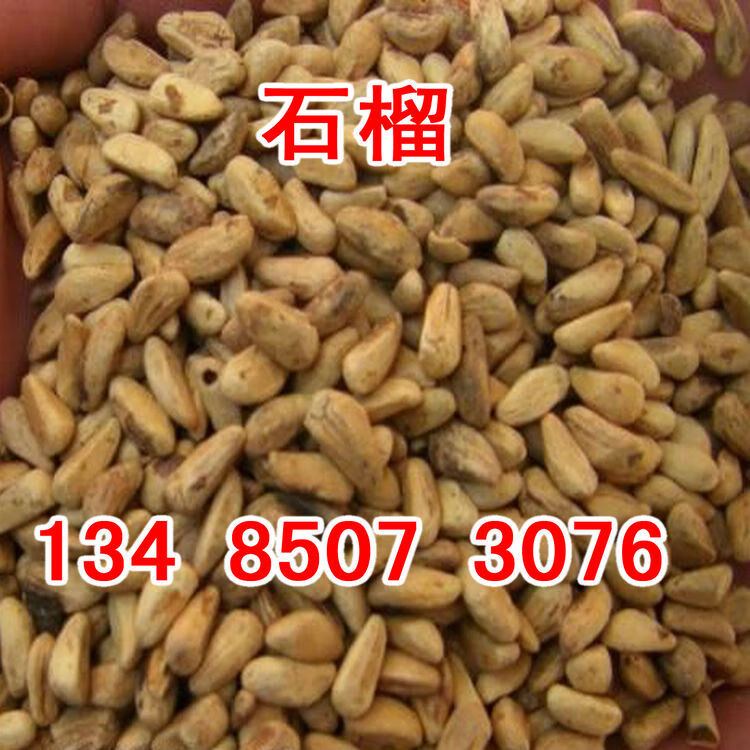 石榴树种子石榴果种子花石榴果石榴高产软枝石榴种子qcdd 石榴种子