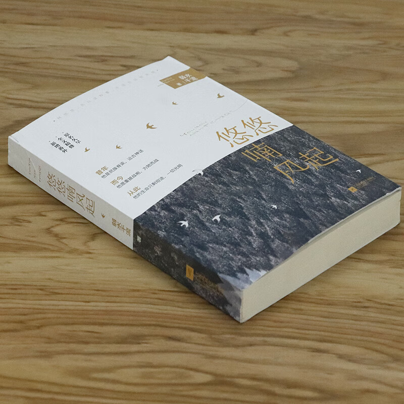 悠悠喃风起 弱水千流 著清新甜宠花火青春言情文学小说书籍半吟寒鸦