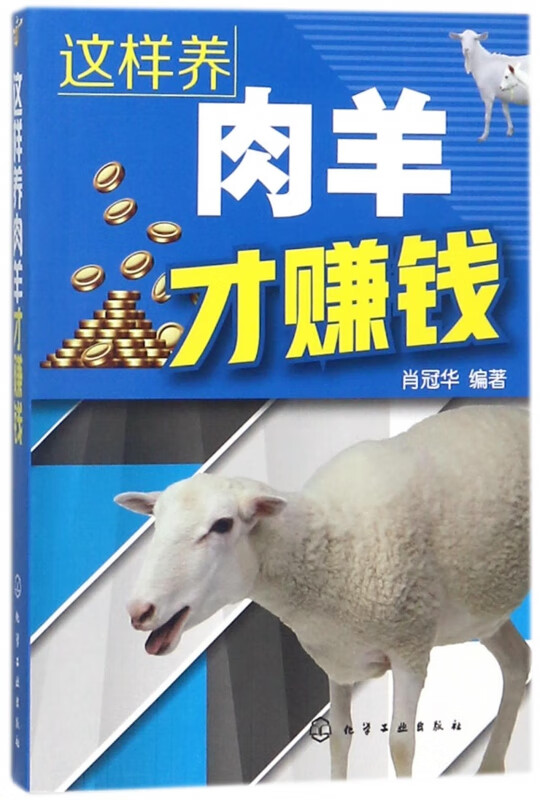 这样养肉羊才赚钱