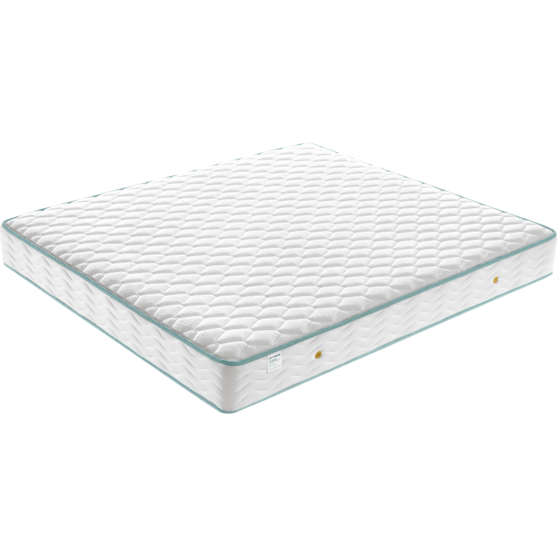 林氏家居床墊棕墊偏硬墊榻榻米椰棕彈簧床墊20cm厚墊子1.5x2米-京倉發(fā)貨