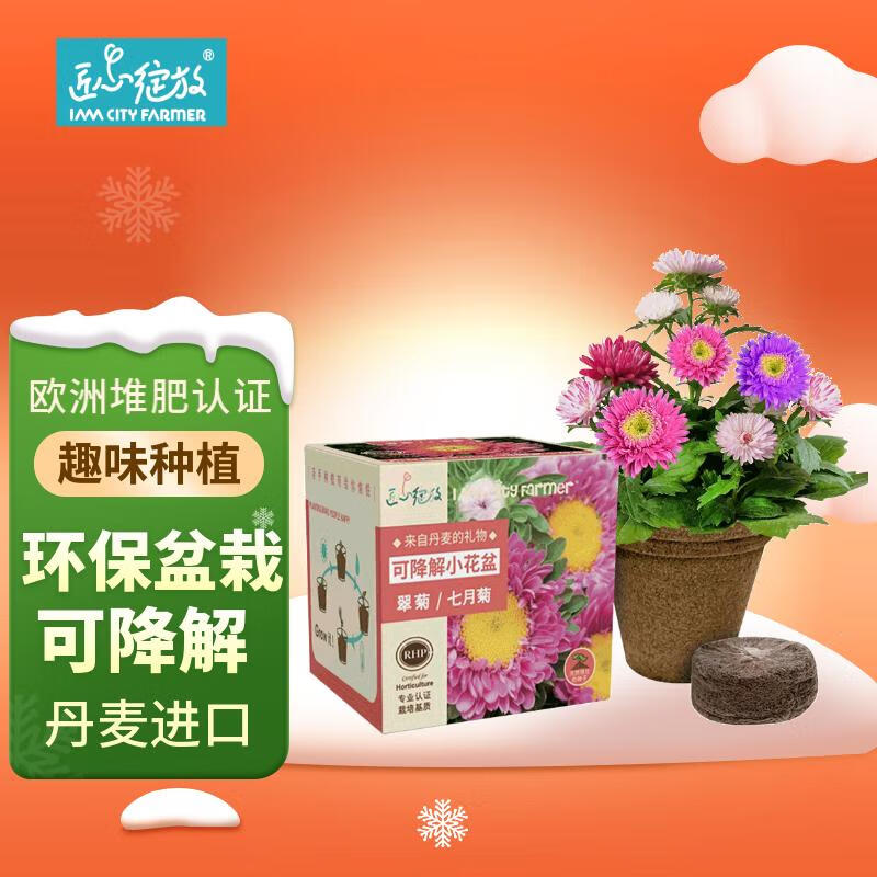 绿植盆栽价格走势网站|绿植盆栽价格走势图