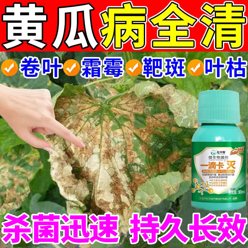 黄瓜病害清专用药治疗黄瓜叶子发黄白粉霜灰霉霜霉病杀菌剂特效药 单