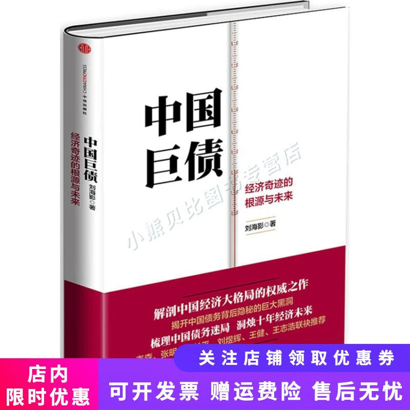 中国巨债 刘海影