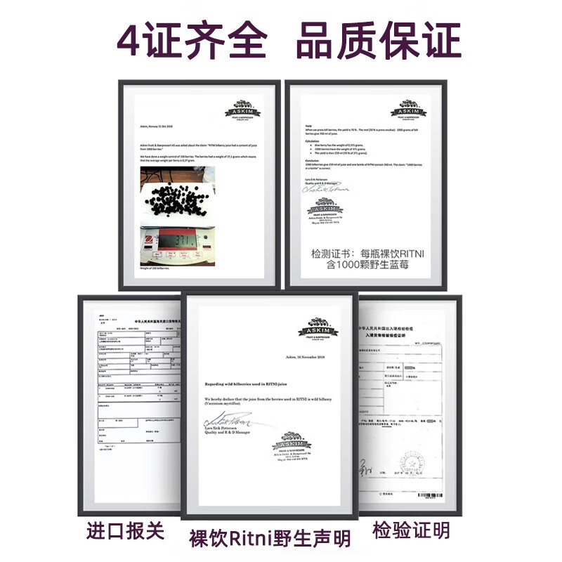 裸饮Ritni蓝莓汁挪威原装进口原花青素0脂0添加健康养生野生蓝莓原浆 裸饮野生蓝莓原浆6瓶*260ml+礼袋
