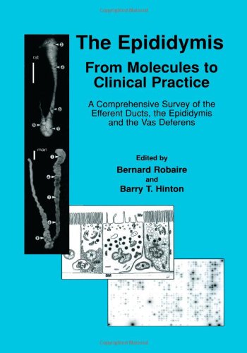 预订 the epididymis: from molecules to clinical practice