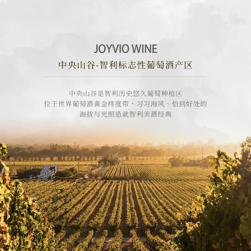 佳沃醇美汇【中央山谷核心产区】智利进口红酒干红葡萄酒整箱礼盒送礼【醒酒器自饮】灵魂三重奏六支装主图9