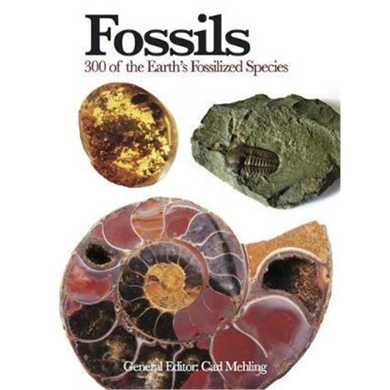 预订fossils:300 of the earths fossilized species