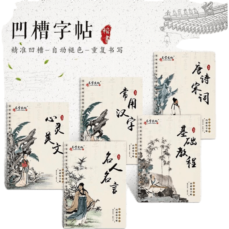 网红款 字帖楷书初中生高中生字帖成人练字贴中小学生练习字帖男生清新旭泽常用汉字 心灵美文 名人名言 2笔2握消失笔芯