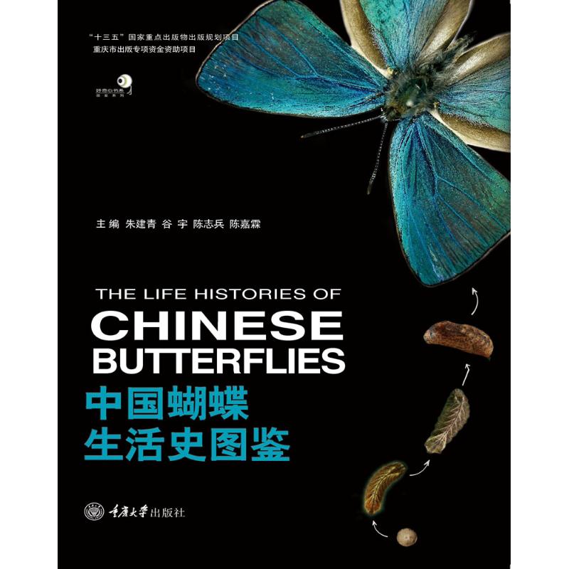 中国蝴蝶生活史图鉴 朱建青 等 编 书籍