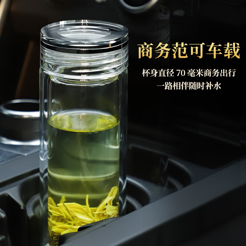 格亚（GEYA）浩渺双层玻璃杯男士高档商务玻璃茶杯玻璃水杯泡茶杯子礼盒定制 浩渺 400ml