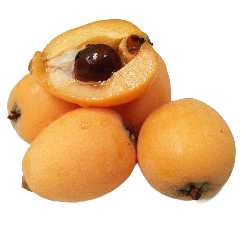 ��������˳���ݡ����������������� ����ˮ�� ���� 5�� 108Ԫ