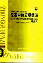 改革中的宏观经济