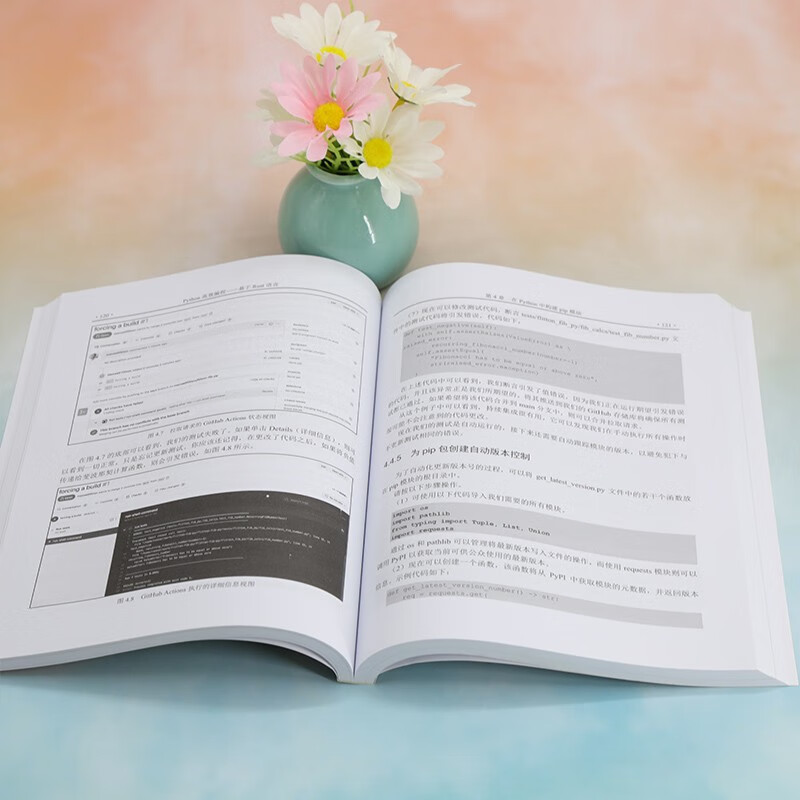 Python高效编程——基于Rust语言