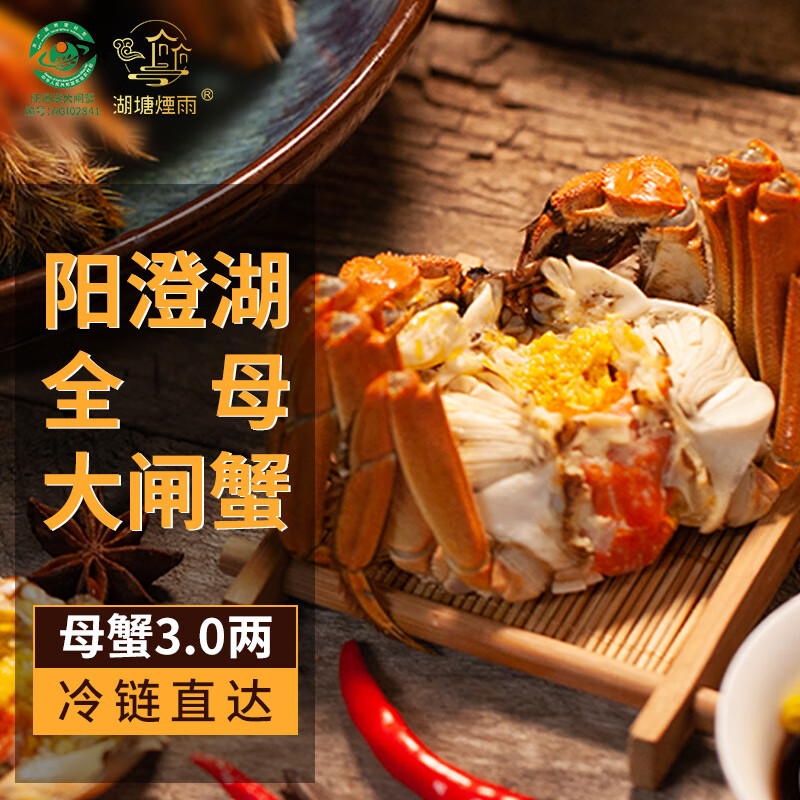 【活蟹】湖塘煙雨 阳澄湖大闸蟹全母蟹3.0两8只鲜活螃蟹海鲜礼盒现货河蟹生鲜水产